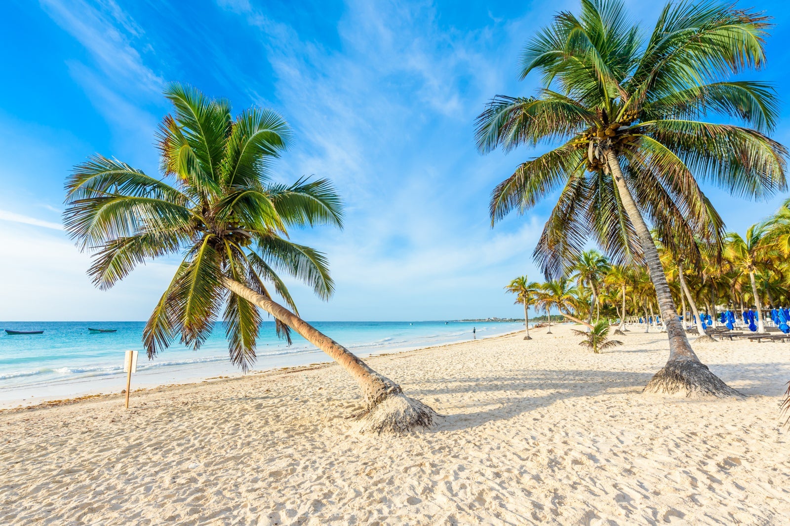 Paradise Beach also called Playa Paraiso at sunrise - beautiful and tropical caribbean coast of Tulum in Quintana Roo, Riviera Maya, Mexico