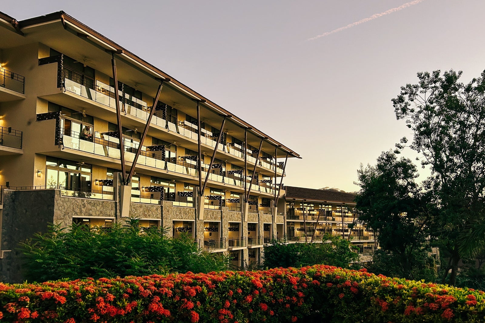 MACKENZIE ROCHE/THE POINTS GUY