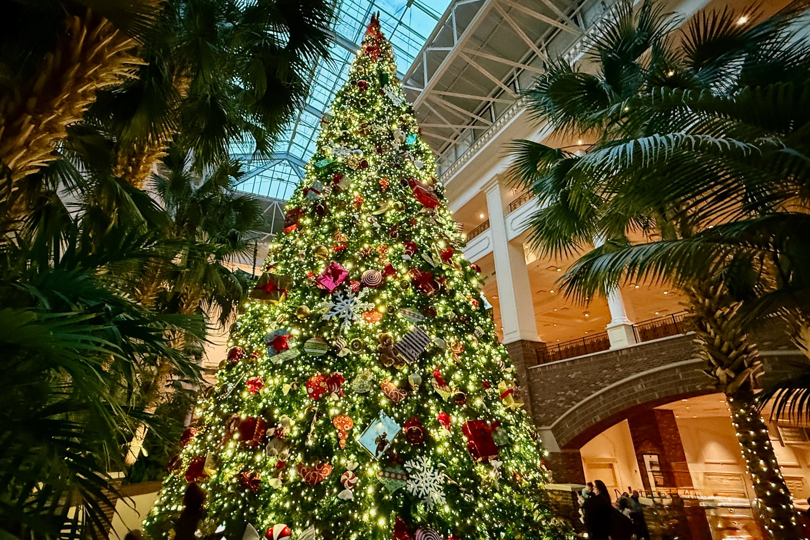 TARAH CHIEFFI/THE POINTS GUY